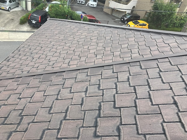 全体の様子・別箇所